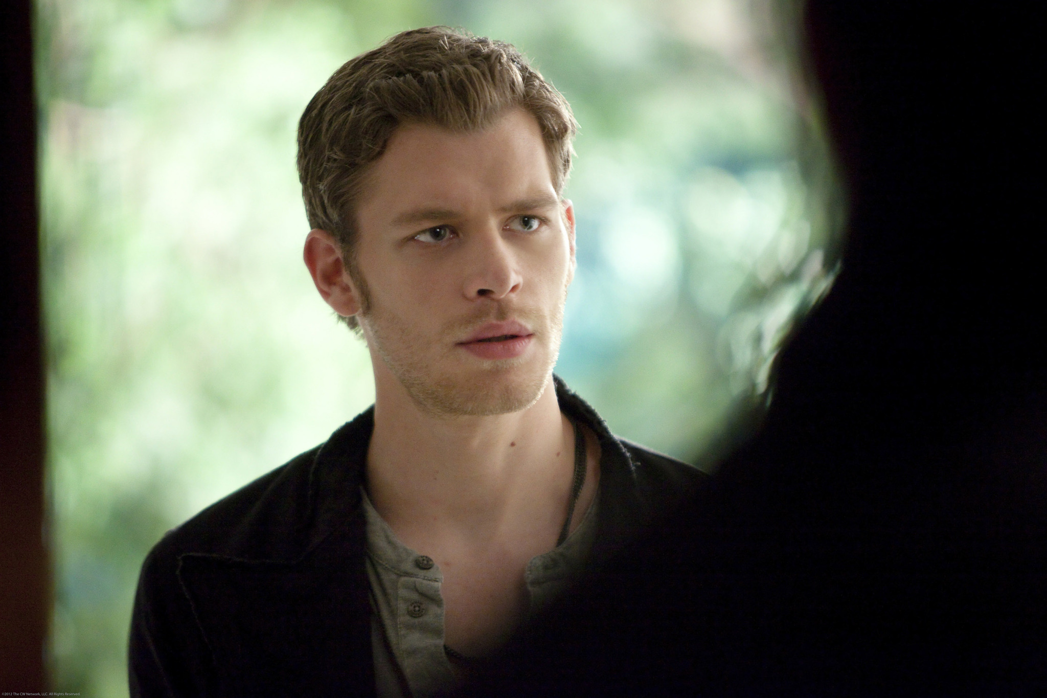 Still of Joseph Morgan in Vampyro dienorasciai (2009)