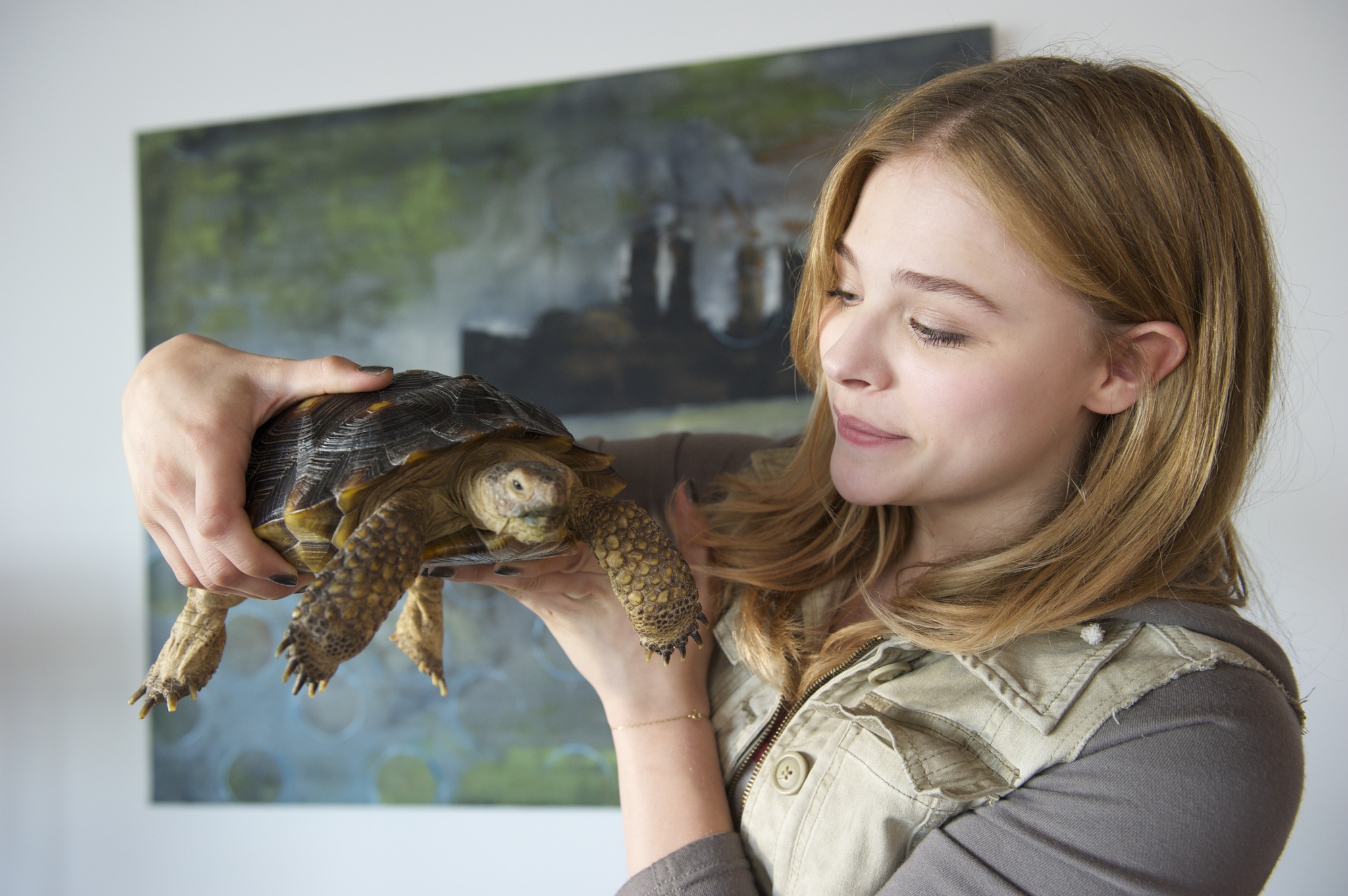 Still of Chloë Grace Moretz in Laggies (2014)