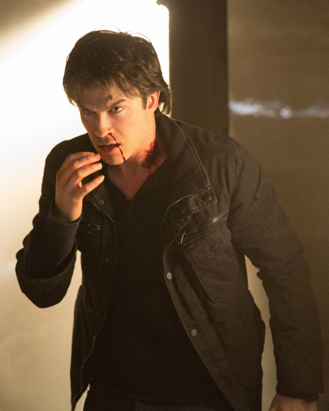 Still of Ian Somerhalder in Vampyro dienorasciai (2009)