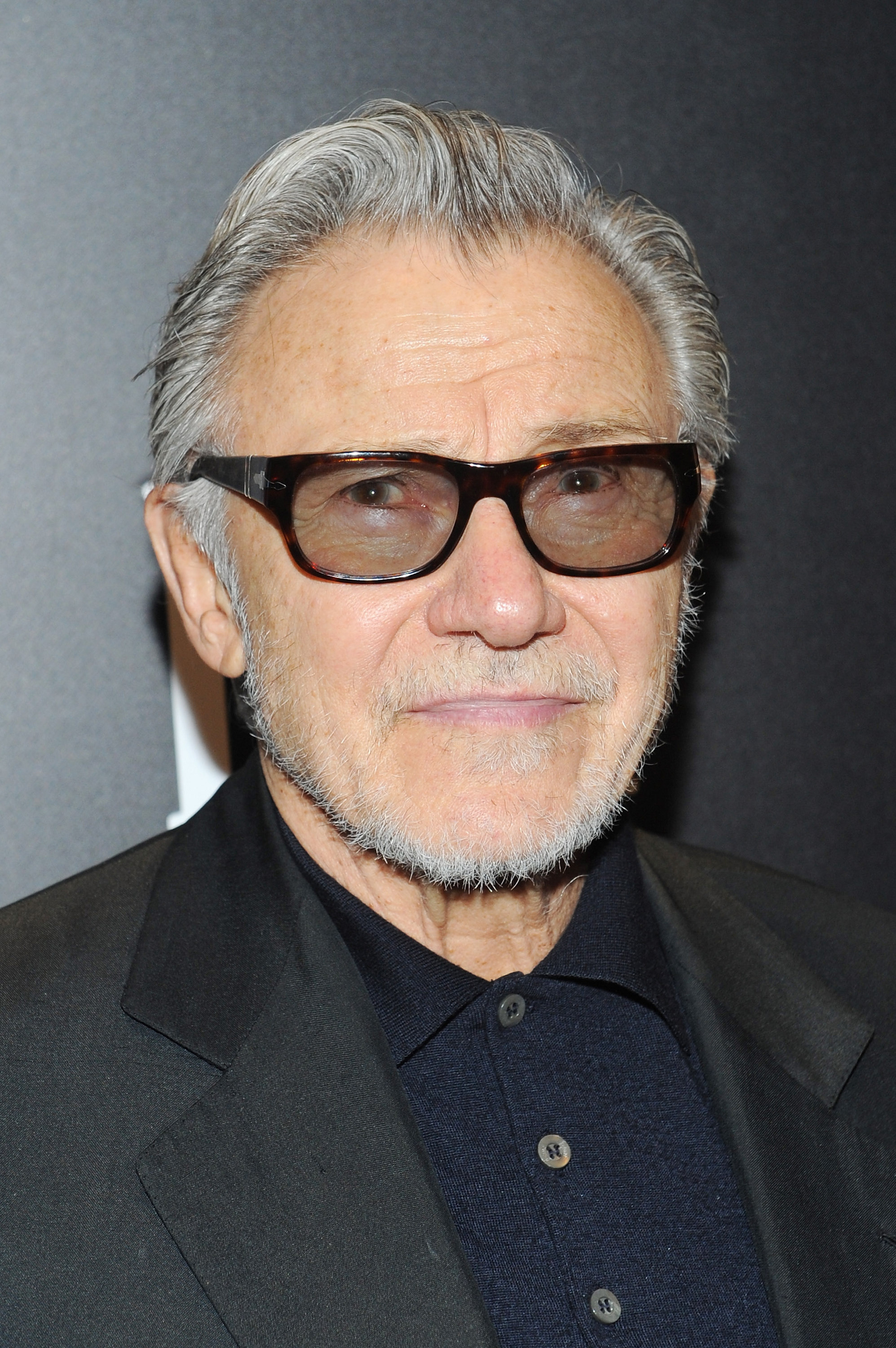 Harvey Keitel at event of Dideles akys (2014)