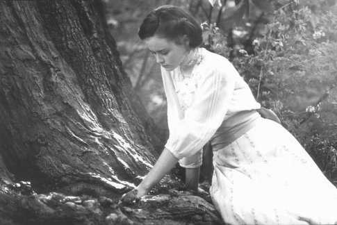 Still of Alexis Bledel in Tuck Everlasting (2002)