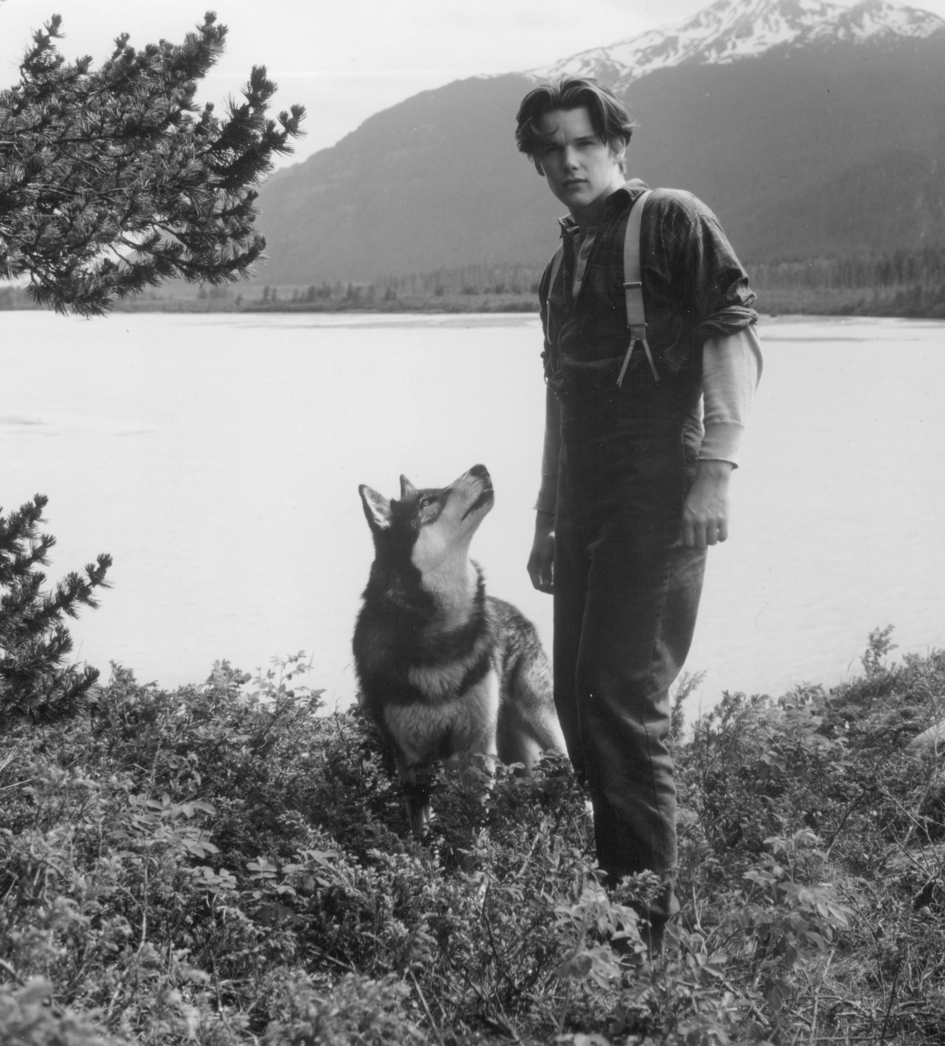 Still of Ethan Hawke in White Fang (1991)