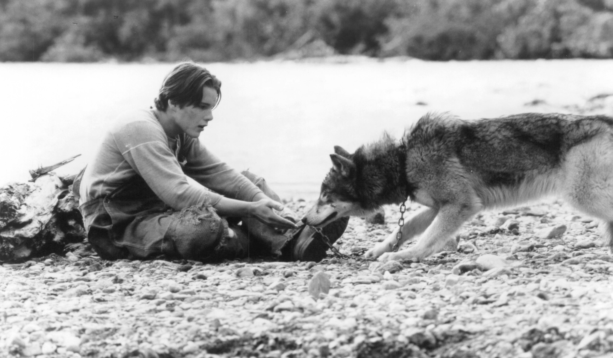 Still of Ethan Hawke in White Fang (1991)