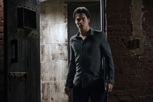 Still of Ian Somerhalder in Vampyro dienorasciai (2009)