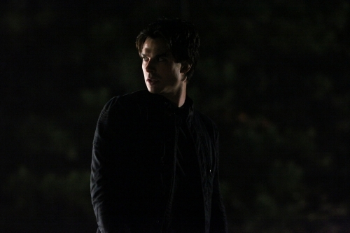 Still of Ian Somerhalder in Vampyro dienorasciai (2009)