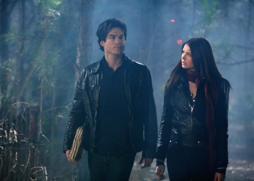 Still of Ian Somerhalder and Nina Dobrev in Vampyro dienorasciai (2009)