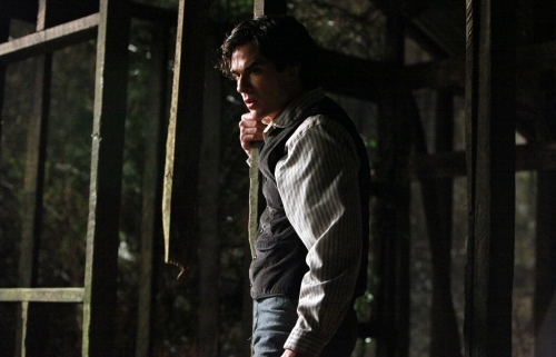 Still of Ian Somerhalder in Vampyro dienorasciai (2009)