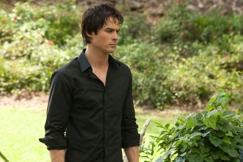 Still of Ian Somerhalder in Vampyro dienorasciai (2009)