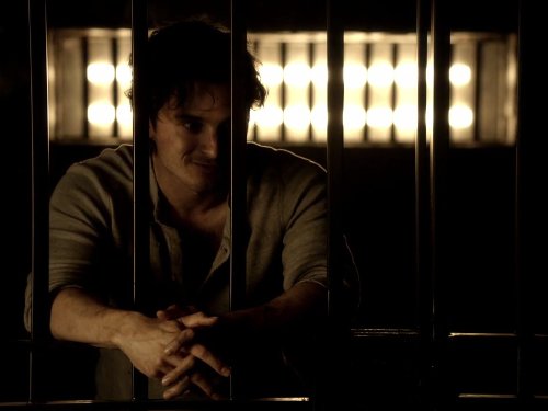 Still of Ian Somerhalder in Vampyro dienorasciai (2009)