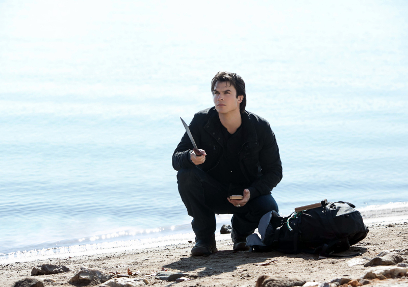 Still of Ian Somerhalder in Vampyro dienorasciai (2009)