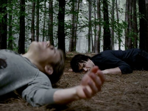 Still of Ian Somerhalder in Vampyro dienorasciai (2009)