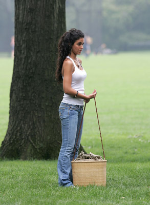 Emmanuelle Chriqui at event of You Don't Mess with the Zohan (2008)