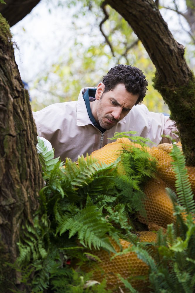 Still of Aaron Abrams in Hanibalas (2013)