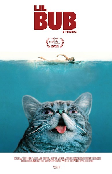 Lil Bub in Lil Bub & Friendz (2013)