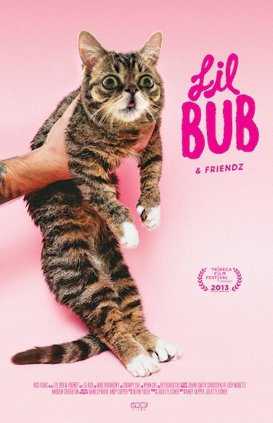 Lil Bub in Lil Bub & Friendz (2013)