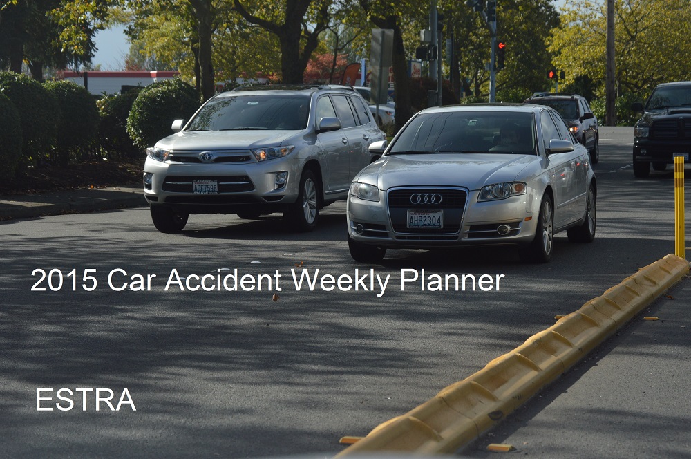 2015 Car Accident Weekly Planner by ESTRA. Organize and document your collision.