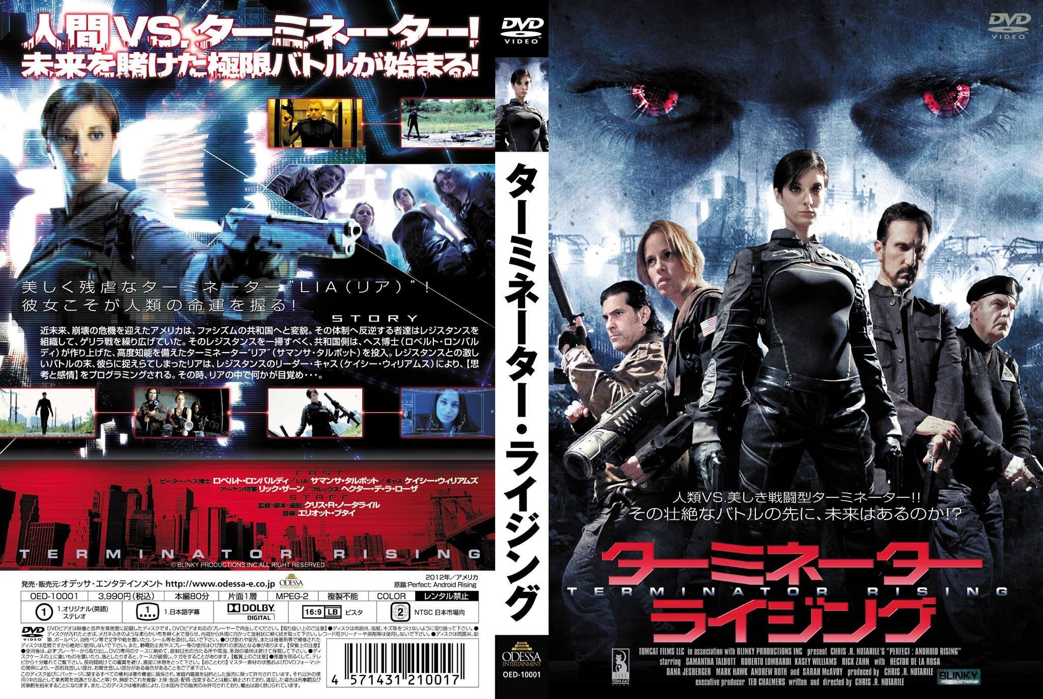 2013 Japanese DVD Art titled 