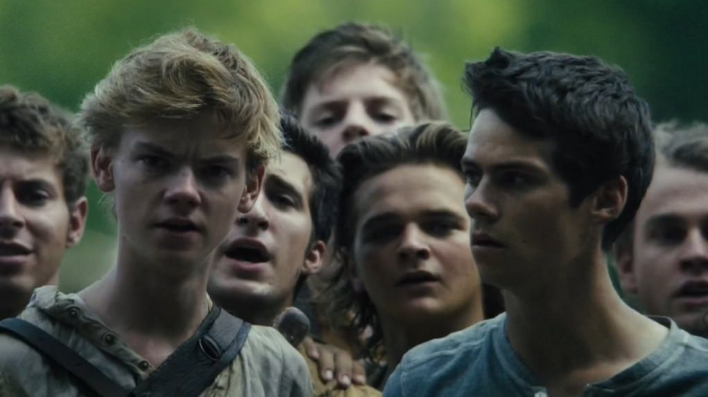 The Maze Runner