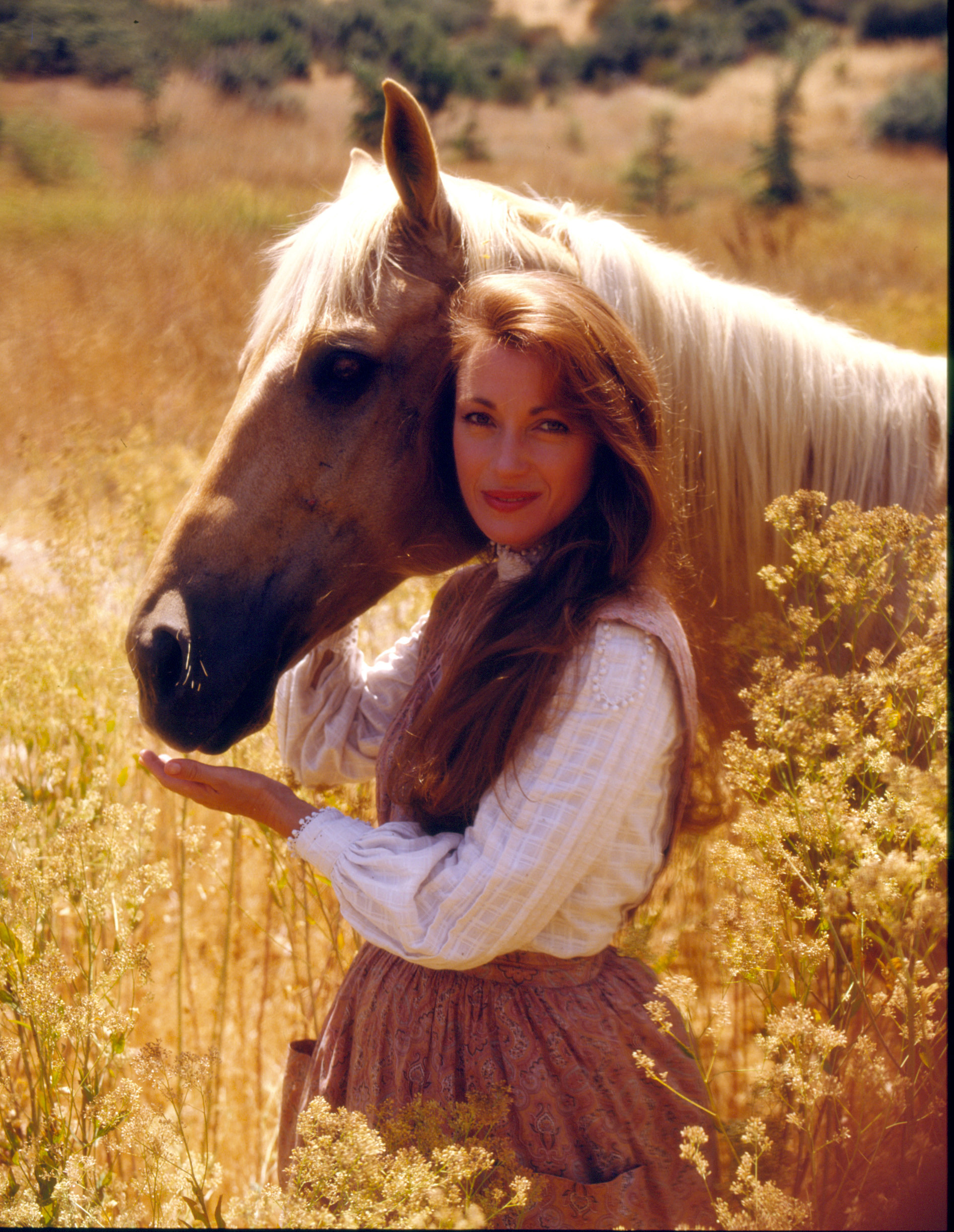 Still of Jane Seymour in Dr. Quinn, Medicine Woman (1993)