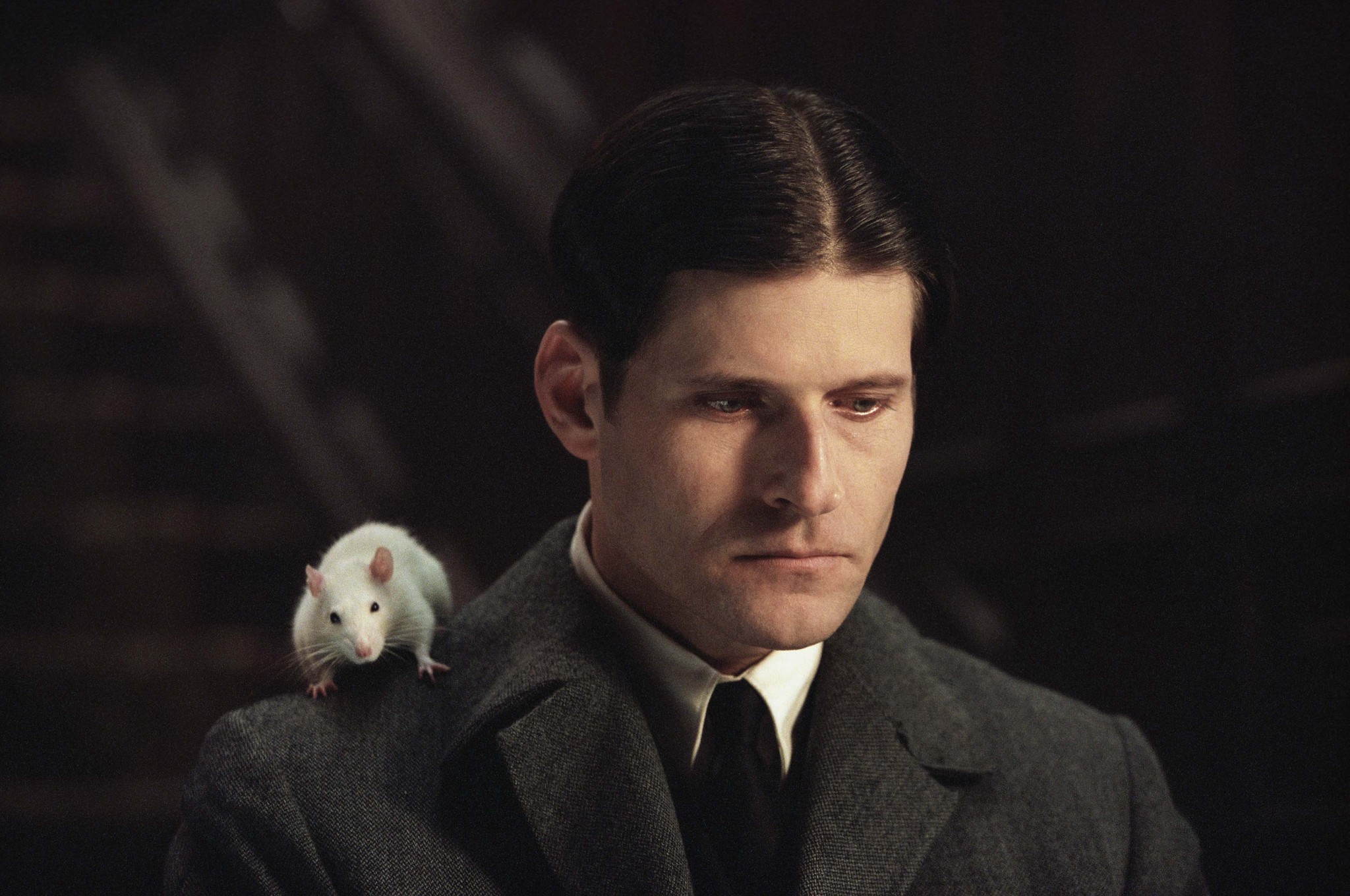 Still of Crispin Glover in Willard (2003)