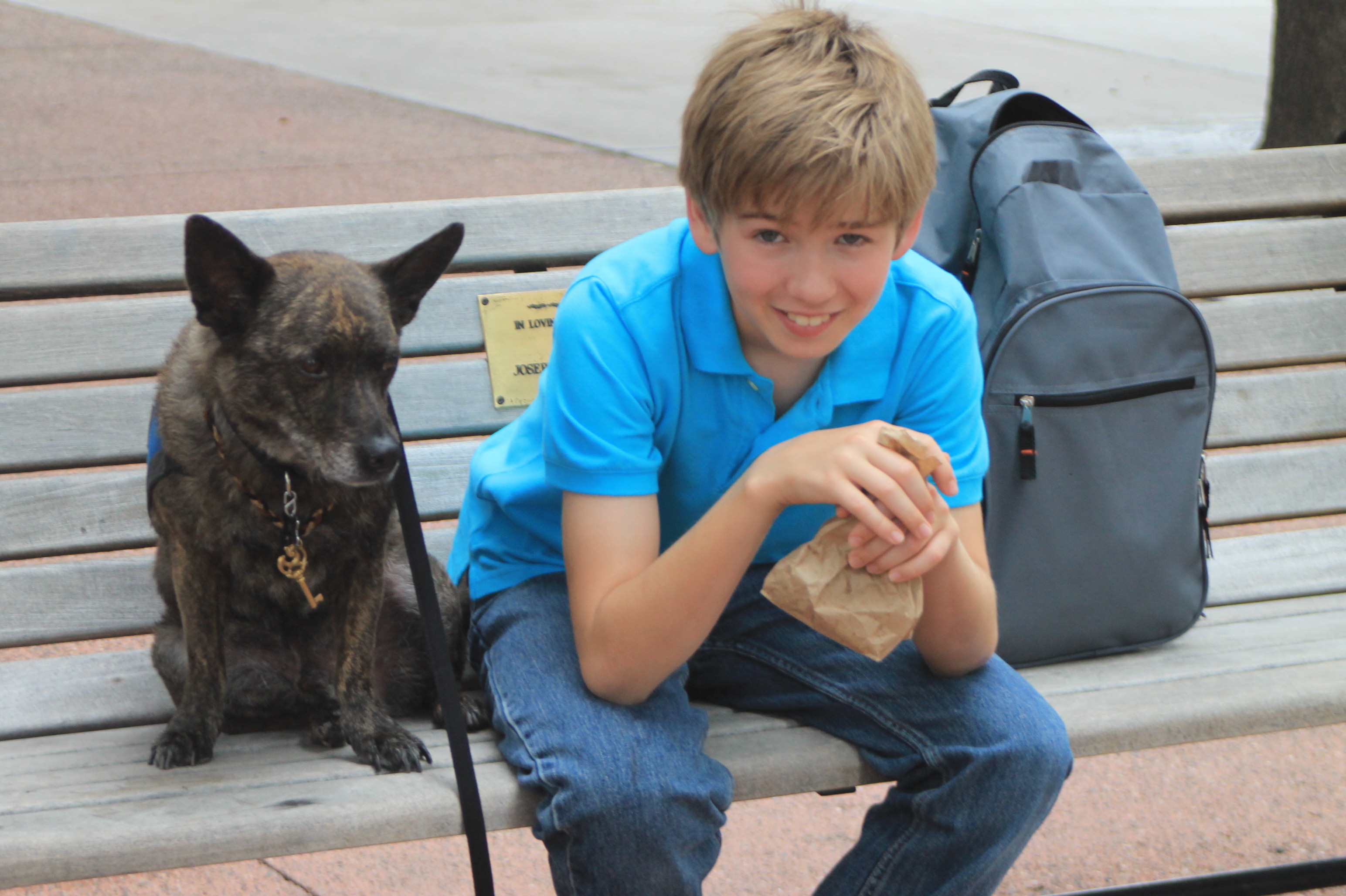 Scene from The Amazing Wizard of Paws(2014) with Little Bear.