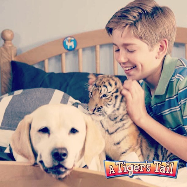 Promotion photo from A Tiger's Tail(2014) with Luna and Buster.