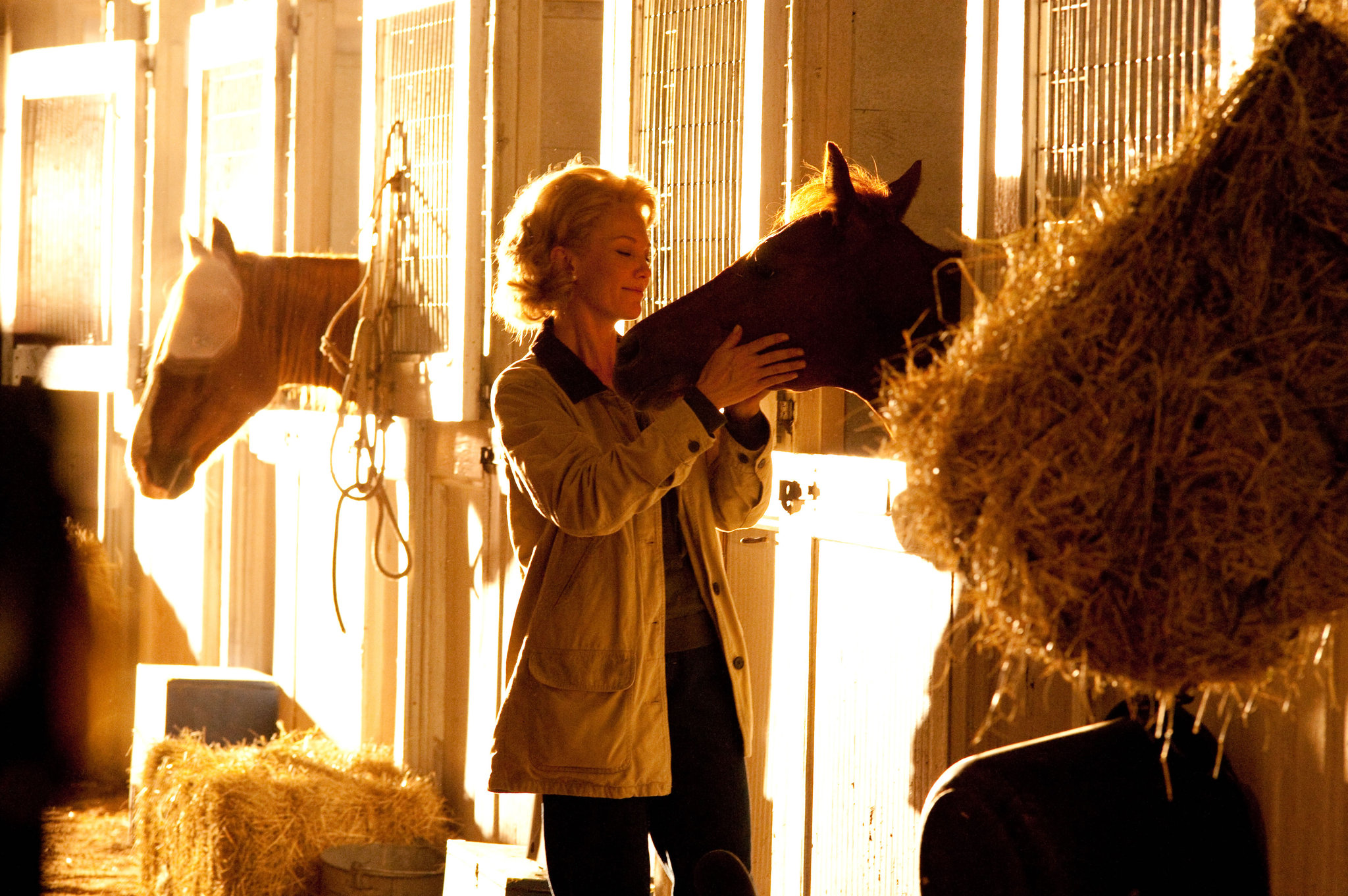 Still of Diane Lane in Secretariat (2010)