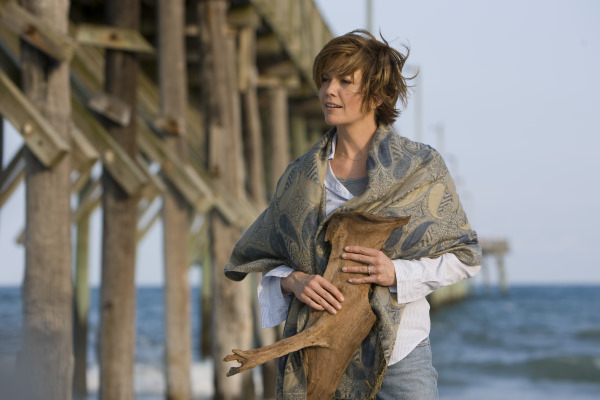 Still of Diane Lane in Nights in Rodanthe (2008)