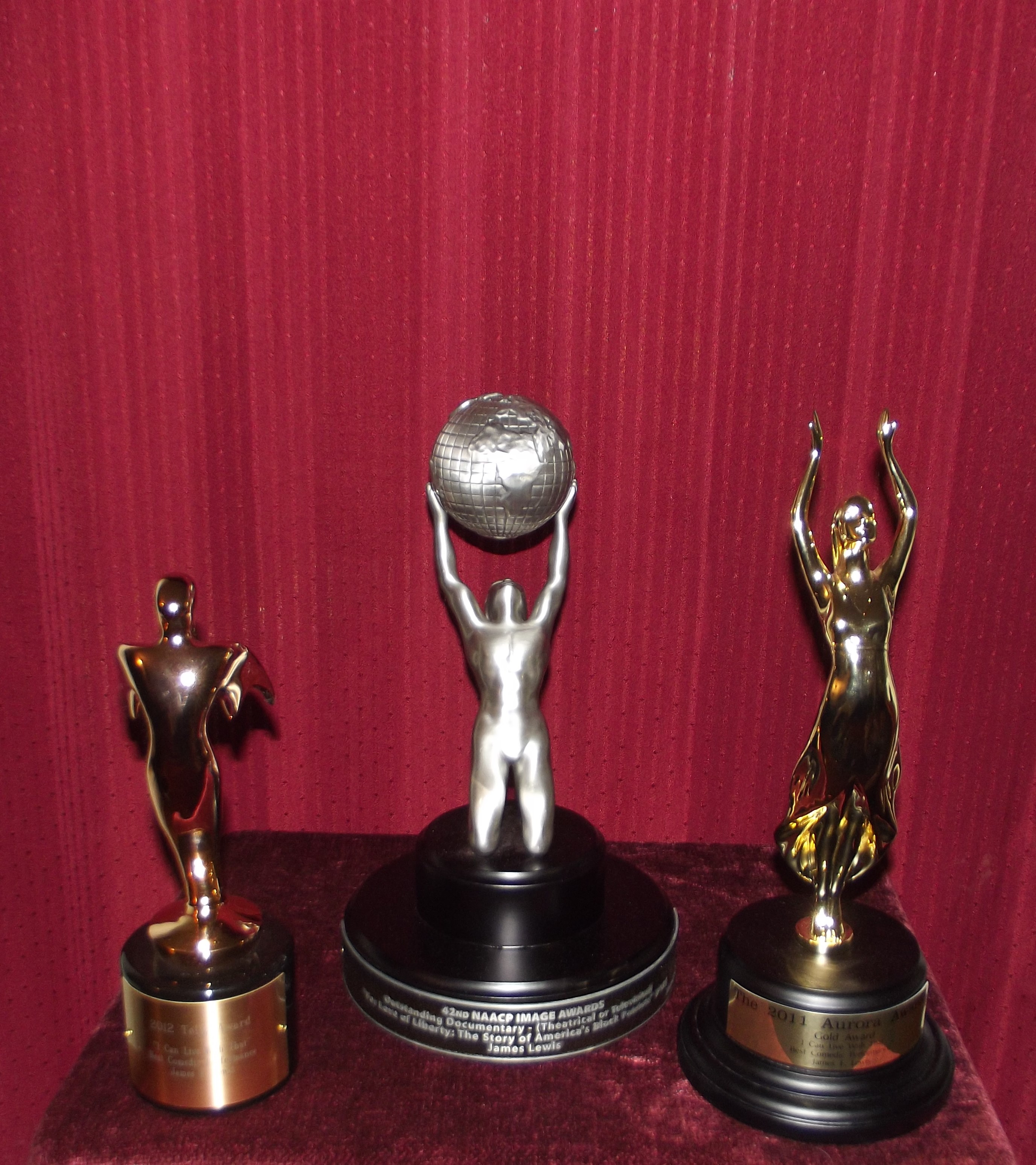 James' 2010 NAACP Image Award, 2011 Aurora Award and 2012 Telly Award.