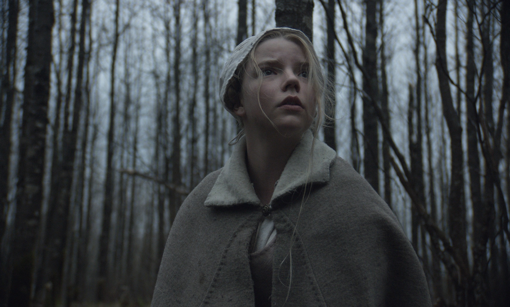 Still of Anya Taylor-Joy in The Witch (2015)
