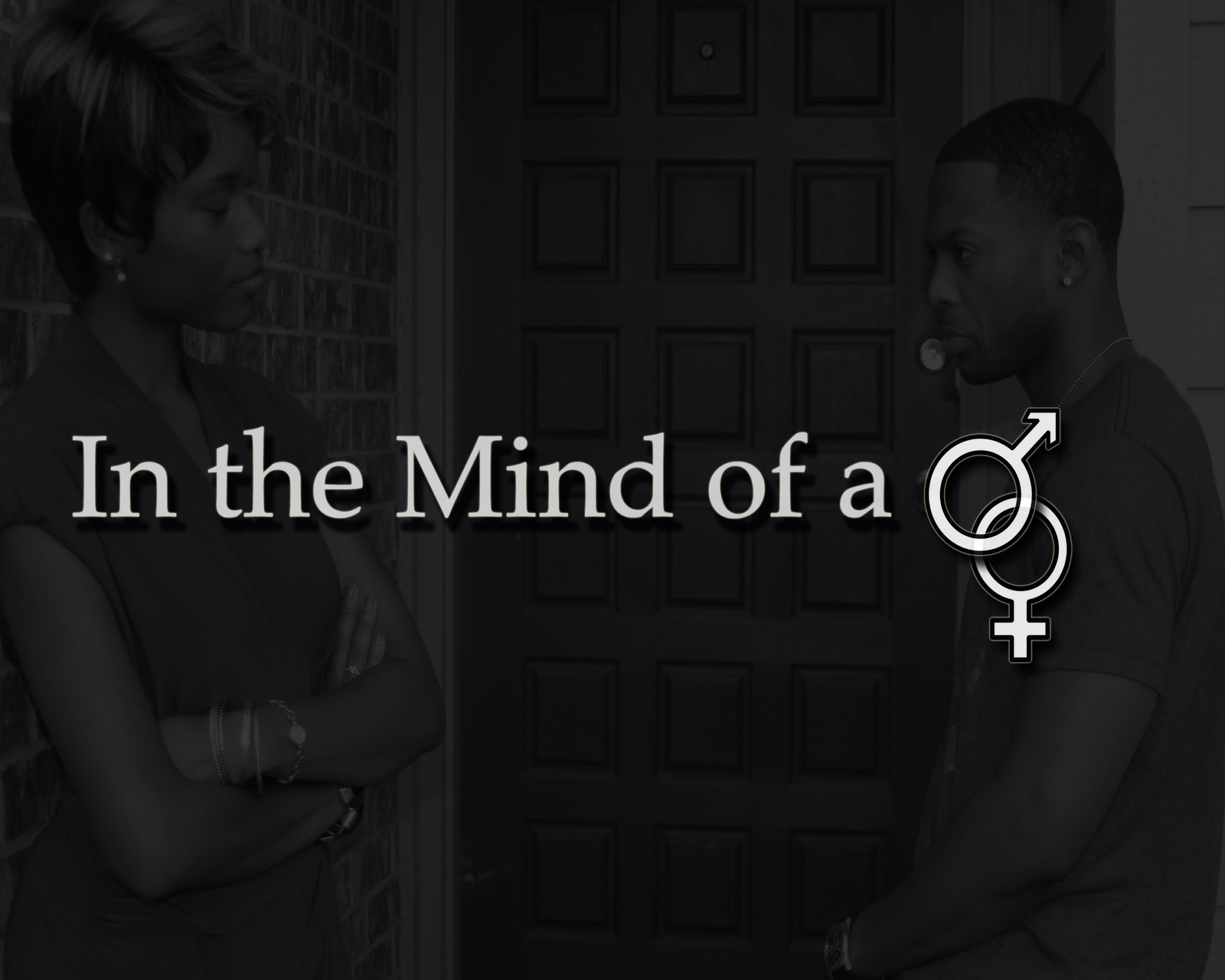 In the Mind of a Male/Female (web series)