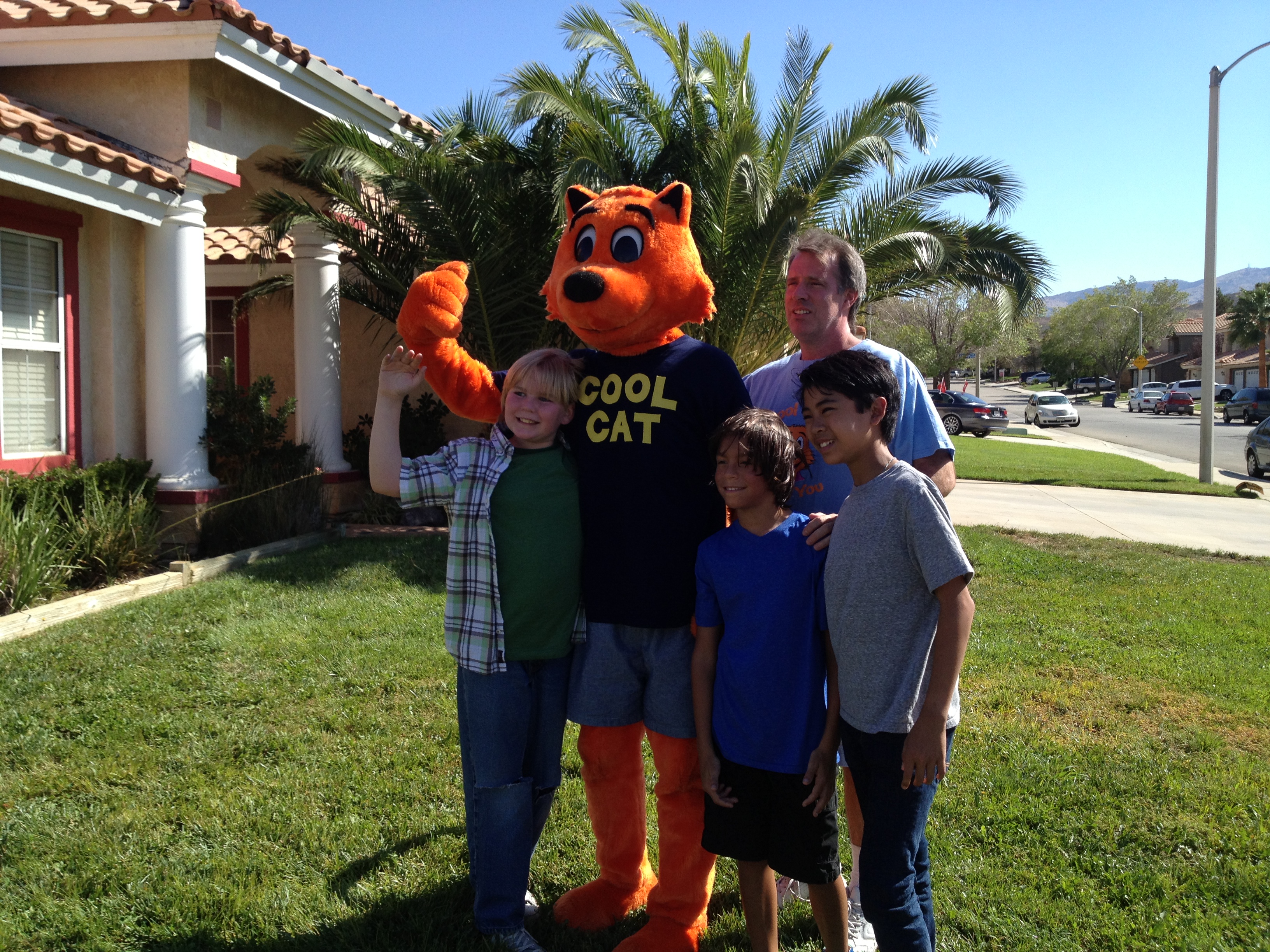 It's a wrap for Cool Cat!