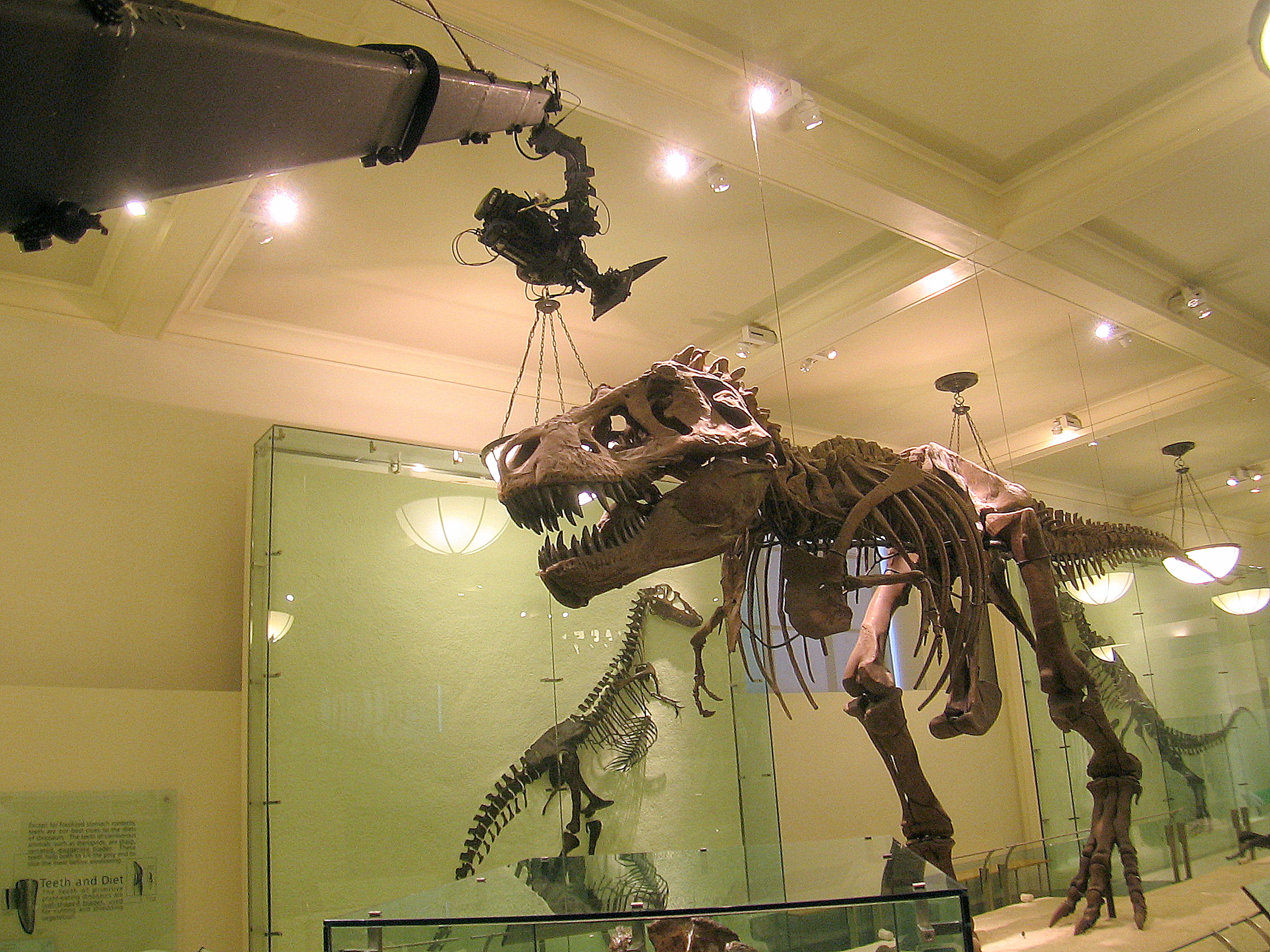 New York Jib, jimmy jib at Museum of Natural History, NYC