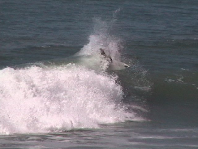 kurtis.north side pier.oceanside.ca.2012