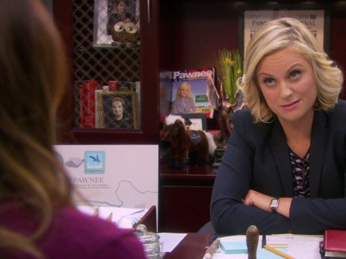 Still of Amy Poehler in Parks and Recreation (2009)