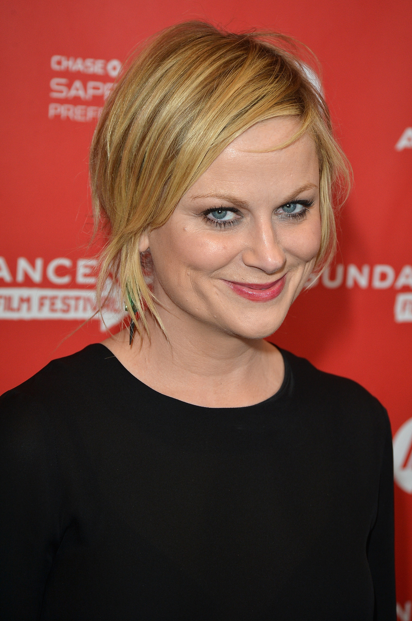 Amy Poehler at event of A.C.O.D. (2013)