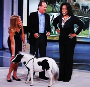 Oprah, Charlie Cantrell, Dr. Rachel Wagner & Einstein - The Smallest Stallion.