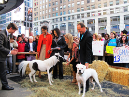 GMA - Robin Roberts, George Stephanopoulos, JuJu Chang, Charlie, Dr. Rachel Wagner, Charlie Cantrell, Einstein - The Smallest Stallion, Lilly - The White Boxer