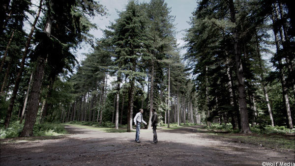 Black Park, Buckinghamshire, England