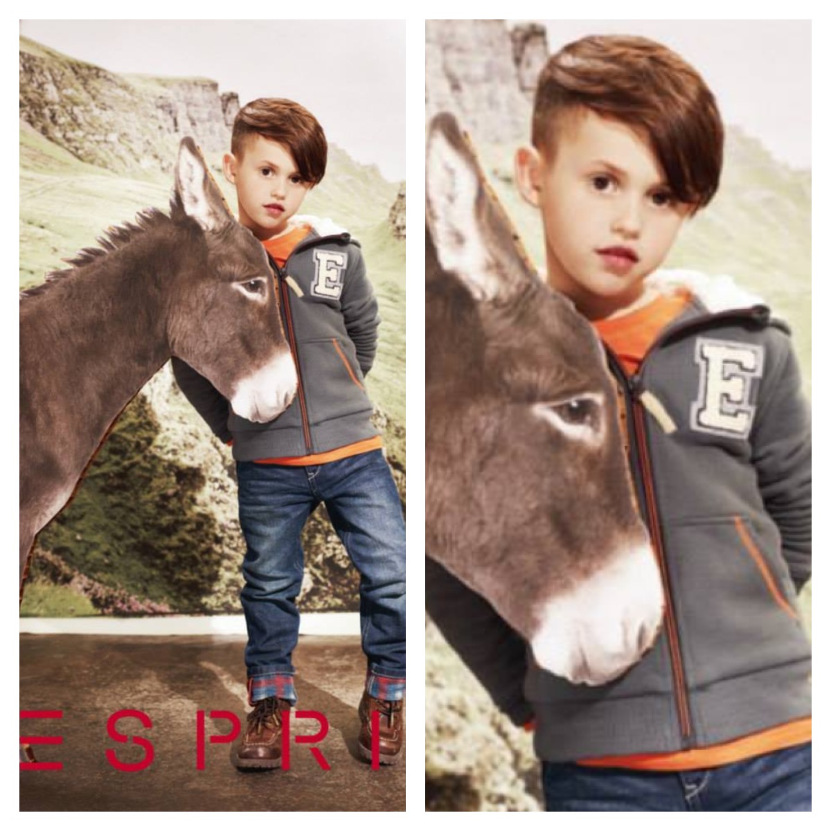 Esprit 2013