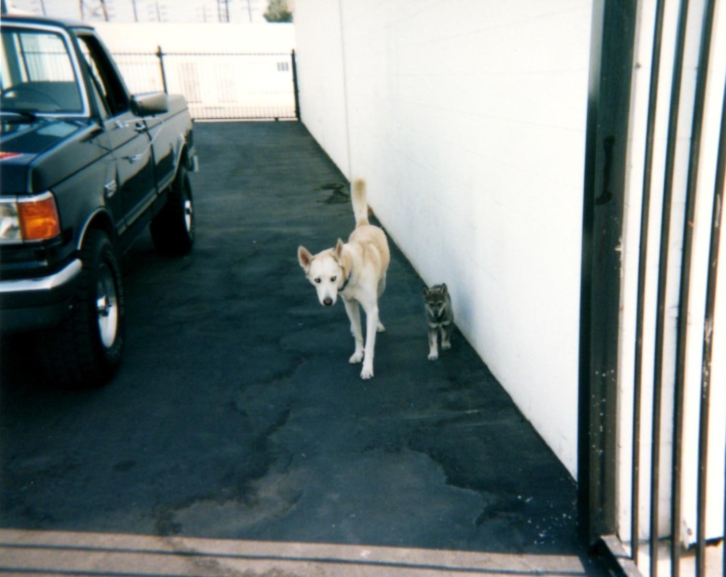 Sam Woody at Urban Wolf Production Offices, just prior to pre/production on 