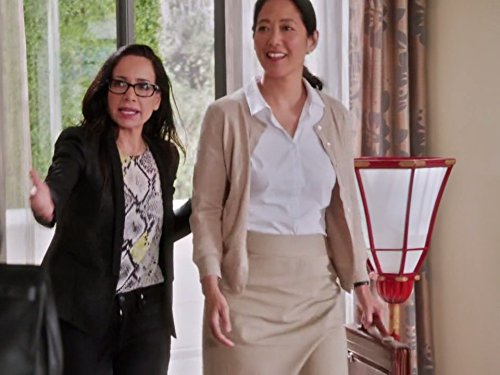 Still of Janeane Garofalo and Shannon Chan-Kent in Girlfriends' Guide to Divorce (2014)