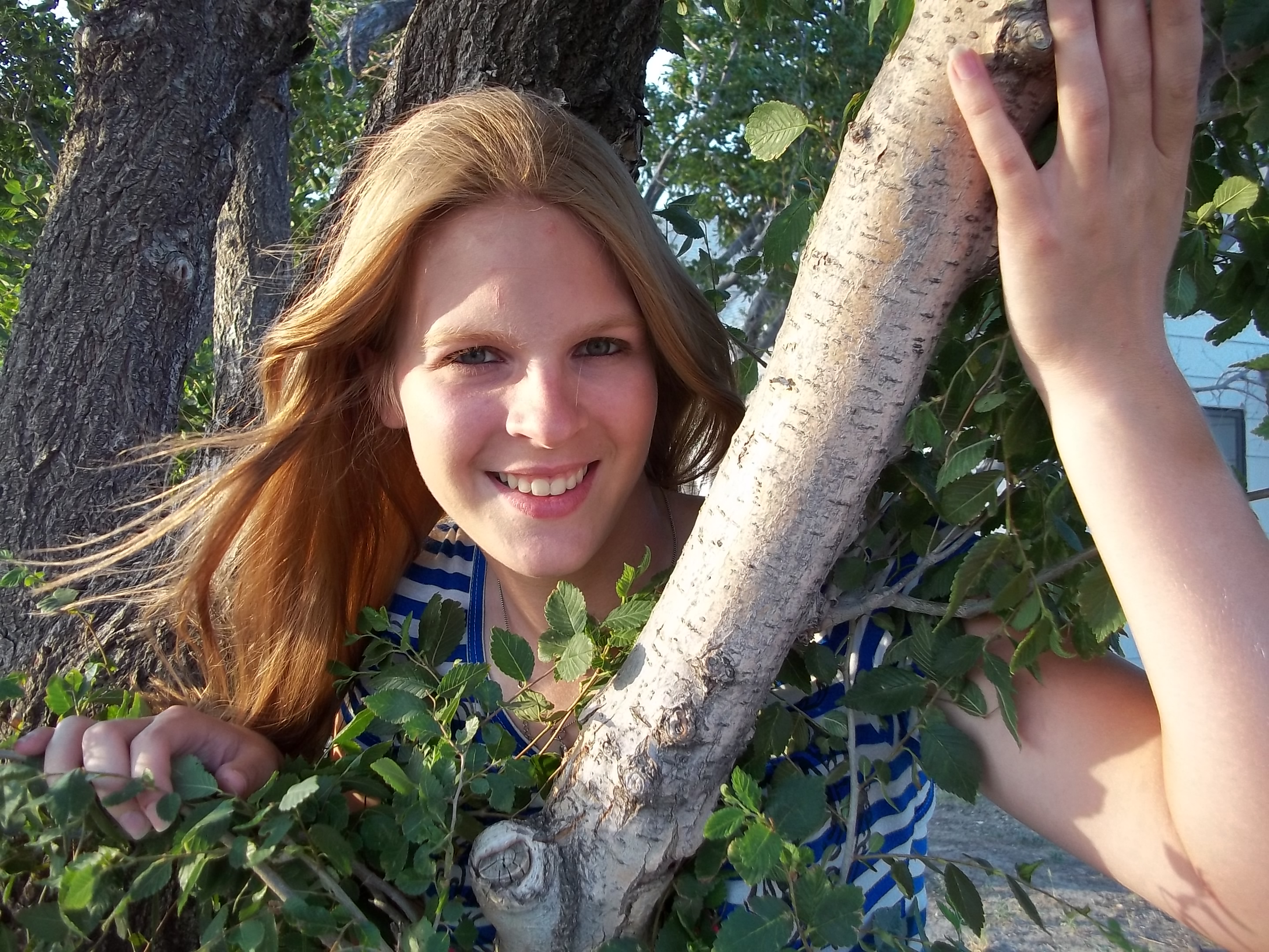 Just Chilling in a tree.