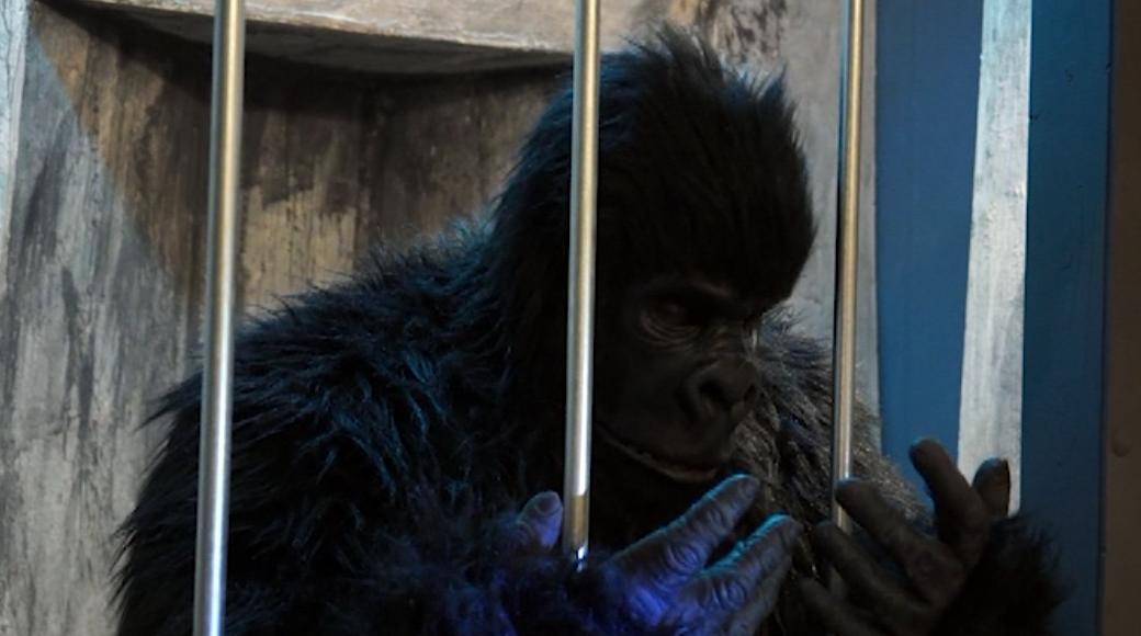 Still of Chris Casteel in Monster Gorilla (2014)