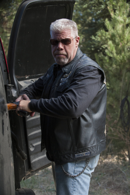 Still of Ron Perlman in Sons of Anarchy (2008)