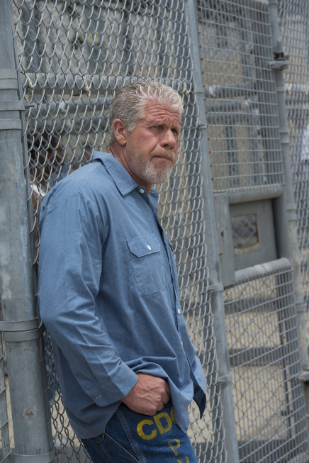 Still of Ron Perlman in Sons of Anarchy (2008)