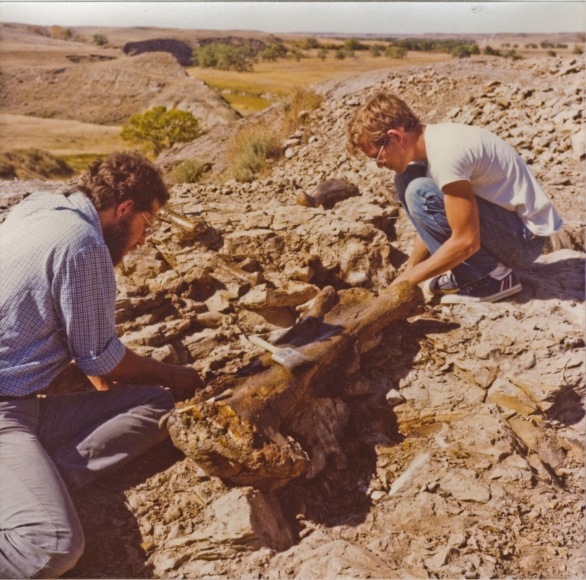 Still of Peter L. Larson and Bob Farrar in Dinosaur 13 (2014)