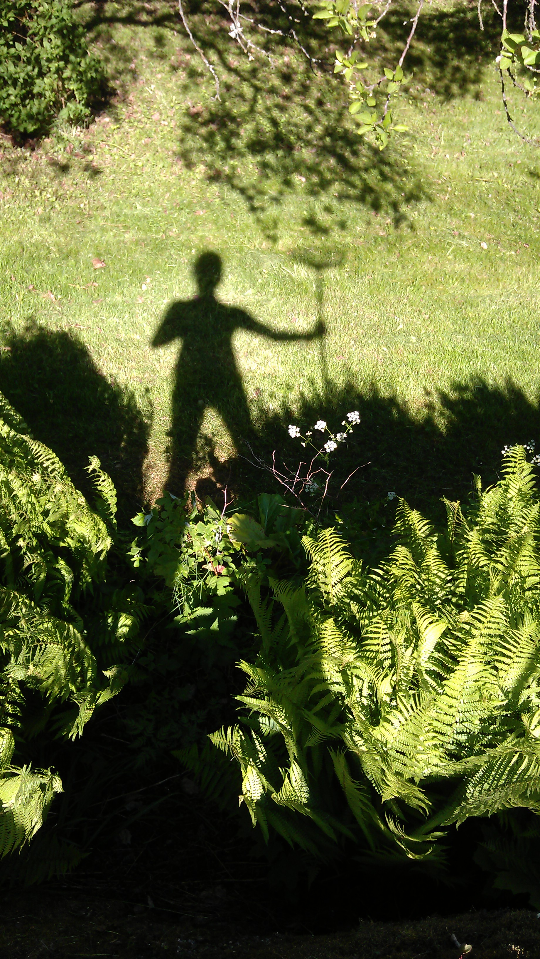 For fun art photo ;) shadows VLM