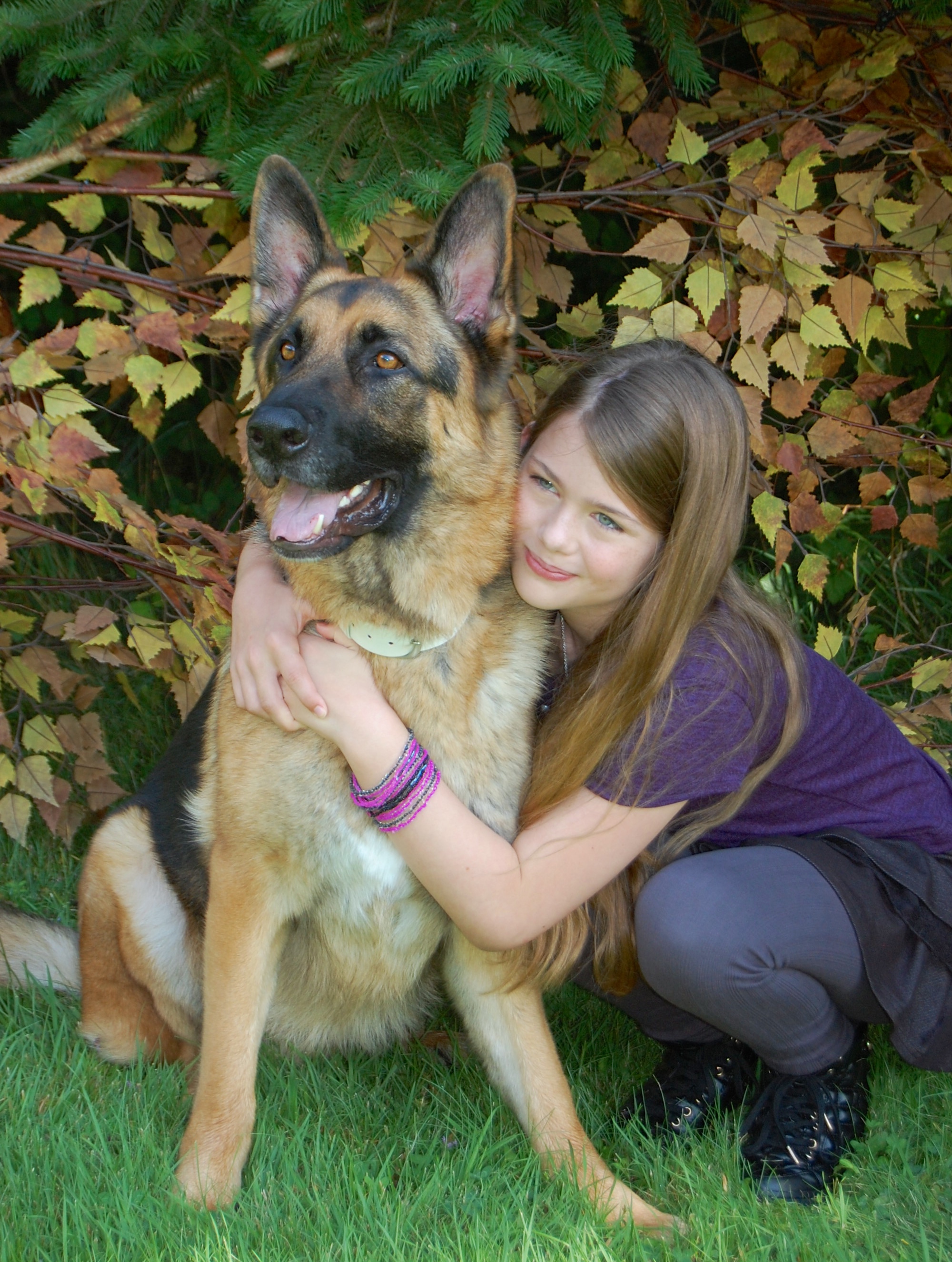 The Christmas Shepherd Jordyn and Ace