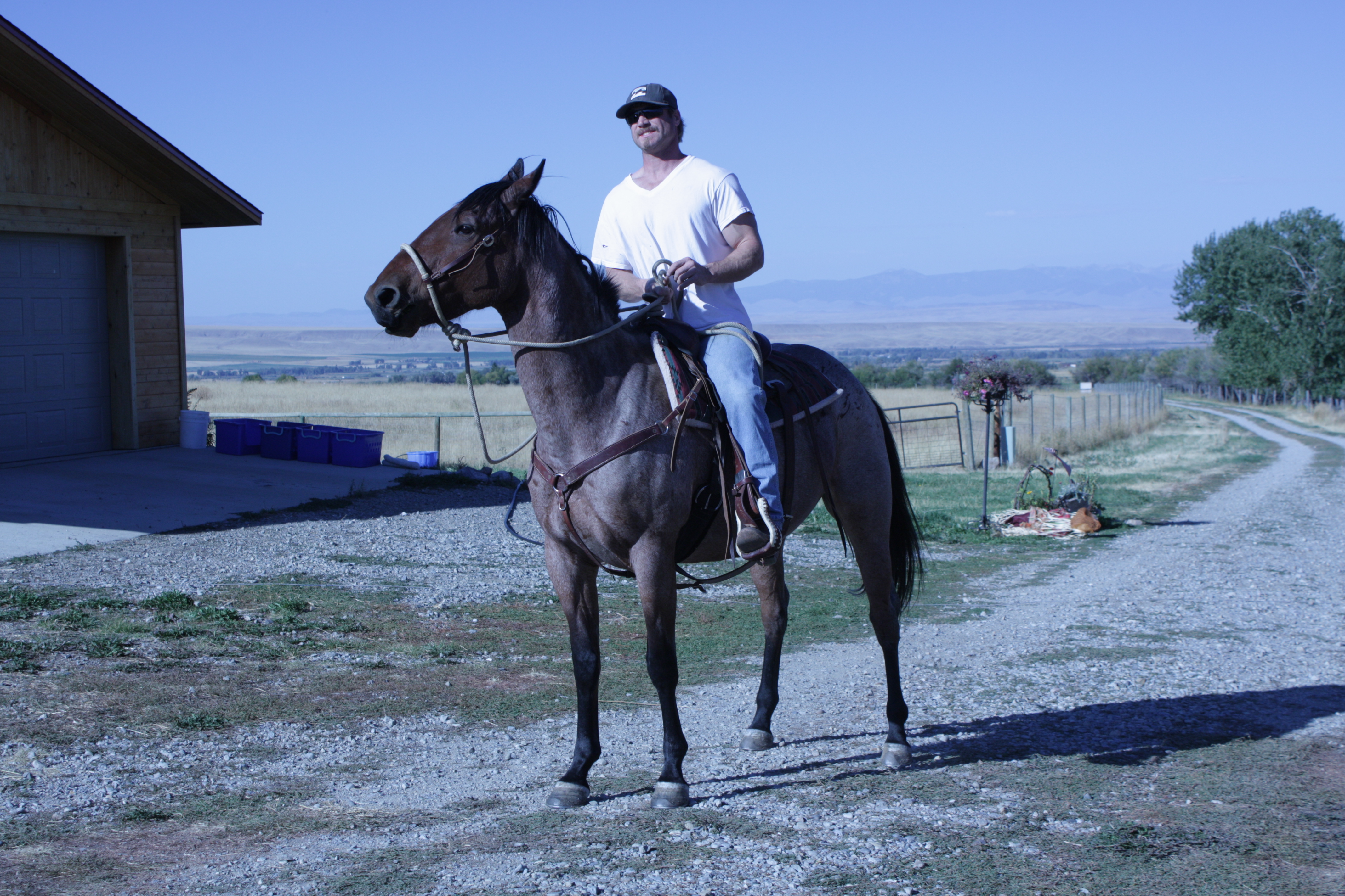 Dutchess and I, Sheridan, Montana.